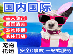 乌鲁木齐地窝堡空运代理国际宠物托运 【国